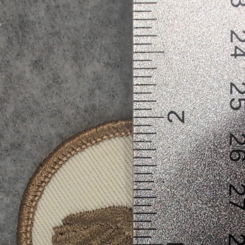 Embroidered Eagle Patch Badge Flying Design‎ Circle Applique Apparel Accessory